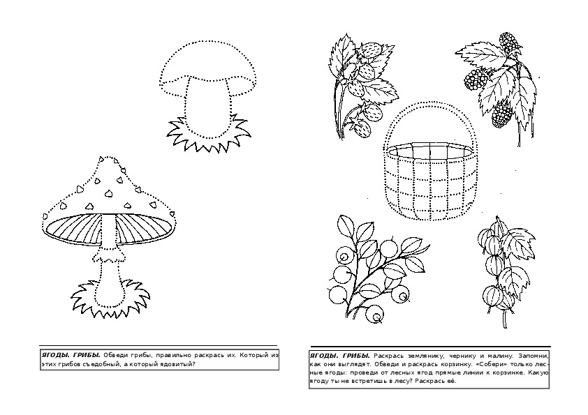 Календарный план грибы ягоды подготовительная группа