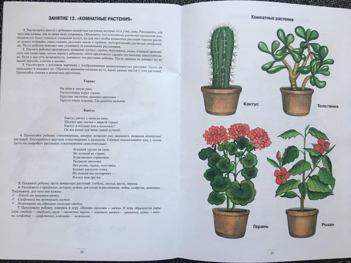 Лексическая тема цветы презентация