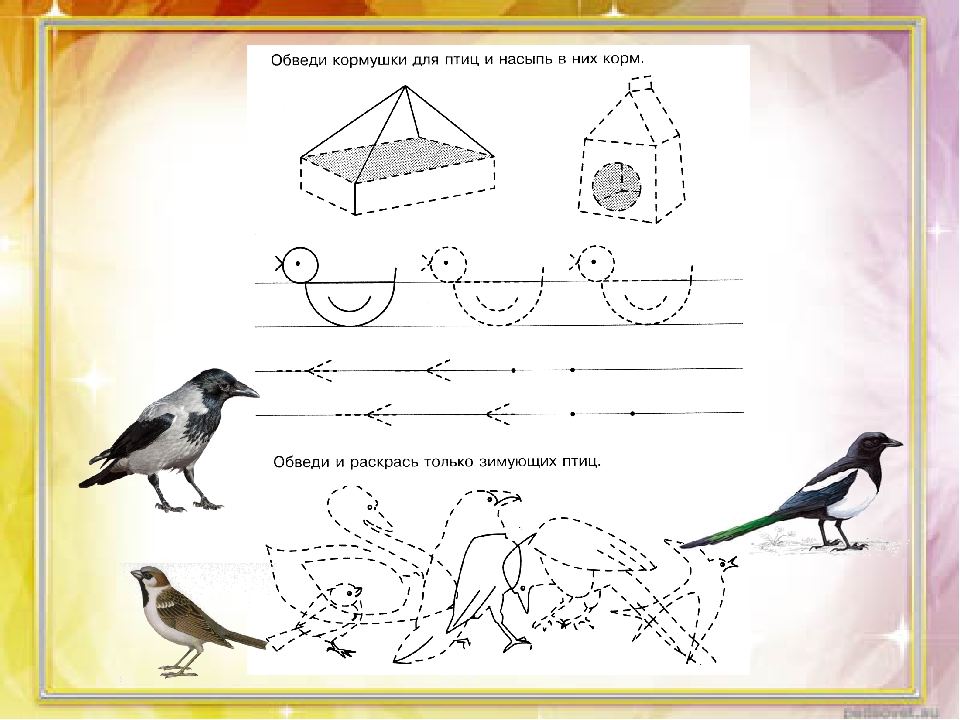 Занятие перелетные птицы. Зимующие птицы задания для дошкольников. Зимующие птицы здания для детей. Задания по теме зимующие птицы. Задания для детей на тему зимующие птицы.